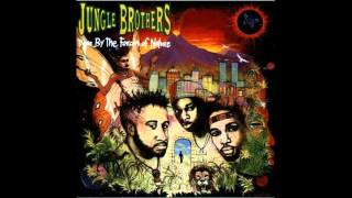 jungle brothers - because i got it like that (ultimatum mix).mp4
