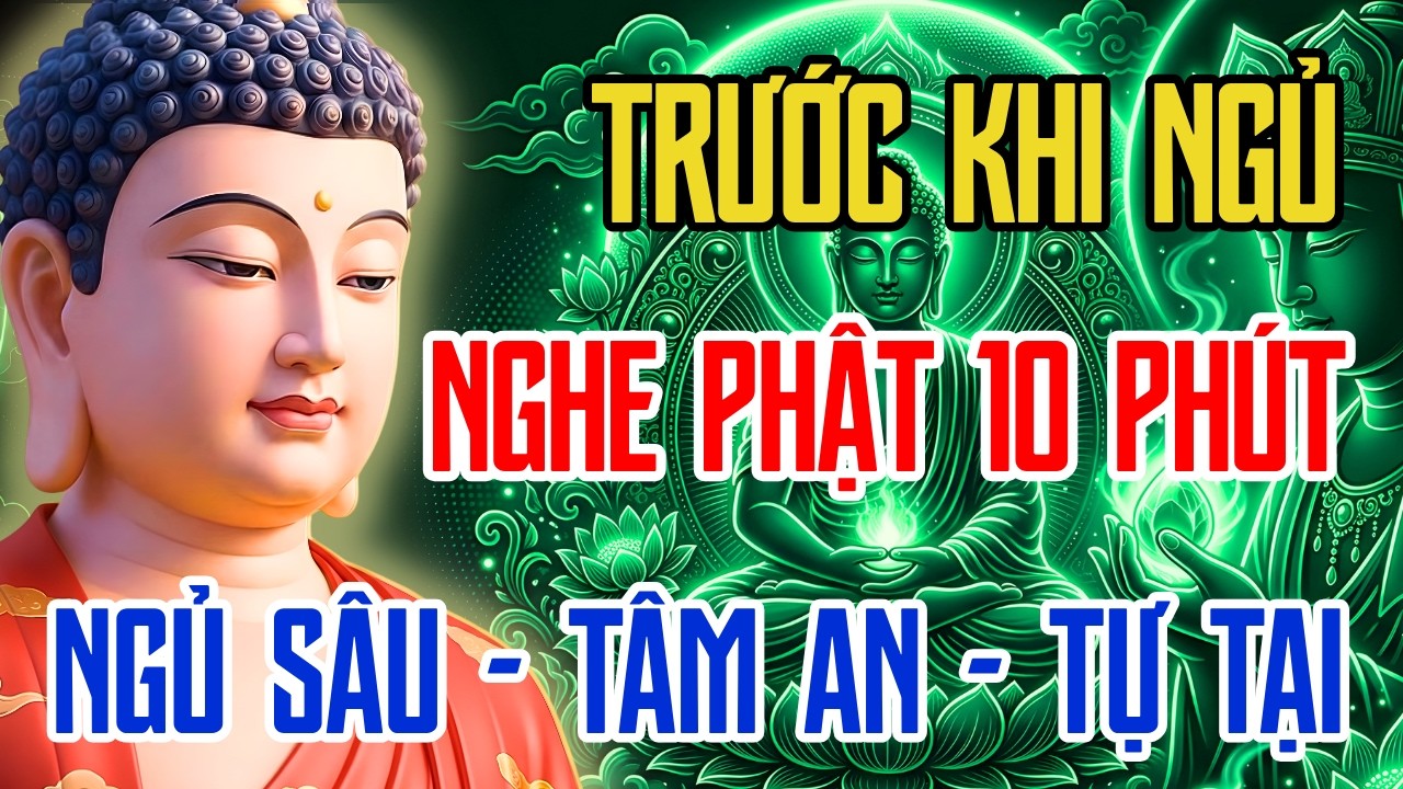Nghe Lời Phật Dạy Trước Khi Ngủ 10 Phút: Bí Quyết Để Ngủ Ngon Và Chữa Lành Tâm Hồn (Zen Wisdom)