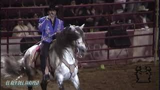 JOAN SEBASTIAN - OJITOS DE GOLONDRINA - EN VIVO -  EN CHICAGO ILLINOIS -EN ALL STATE ARENA