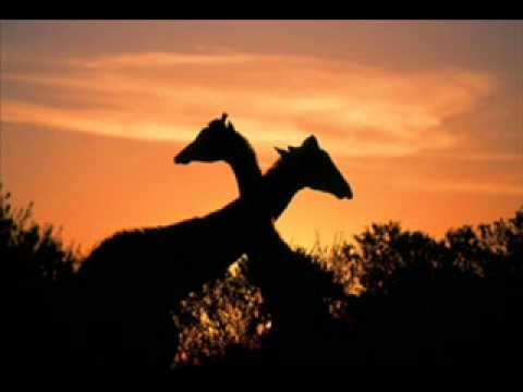 Dj Hypnosis - it comes and goes ( original mix )