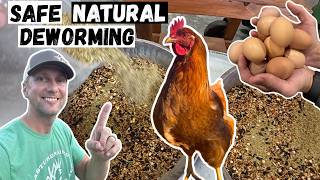 How We Deworm Our Chickens Naturally & Safely