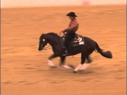 2012 HRRC Level 4 Open Derby Champion winning run!