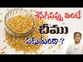 Does Eating Bengal Gram Cause Pus Myth Busting Health Tips In Telugu Manthena Official
