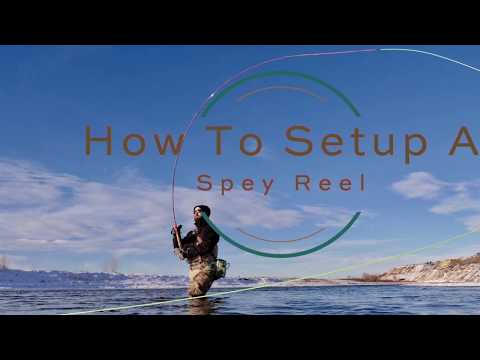 Basic Spey Reel Setup