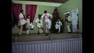 preview picture of video 'Dansul Calusarului Ardelenesc eleviilor de la scoala genarala Cata  .AVI'