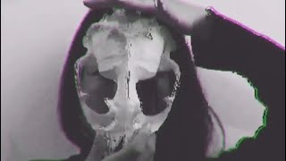 Kaikoura Time says to you / Metal ver. SonaShakudo