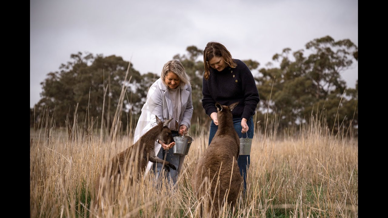 Clare Valley - Breathe It In