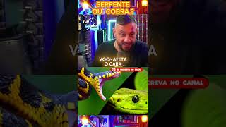 SERPENTE OU COBRA.? RICHARD RASMUSSEN. DV CORTE #televisao #television #artista