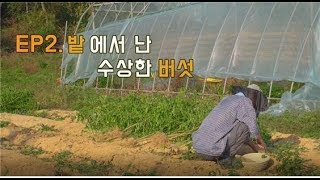 (Ep.2)산에서 돈 벌고싶어? 숲퍼맨이 알려줄게.