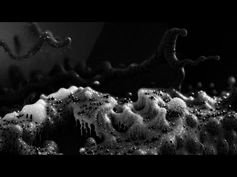 Rinxlaya, OKKHIO - Umursamam