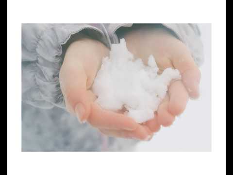 由薫 – echo (Official Lyric Video）