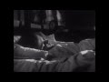 Peter Murphy - Hang Up 