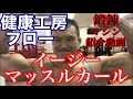 【鍛錬マシン紹介】イージーマッスルカール【さくっと紹介】