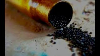 Le pidieron pólvora al ministro