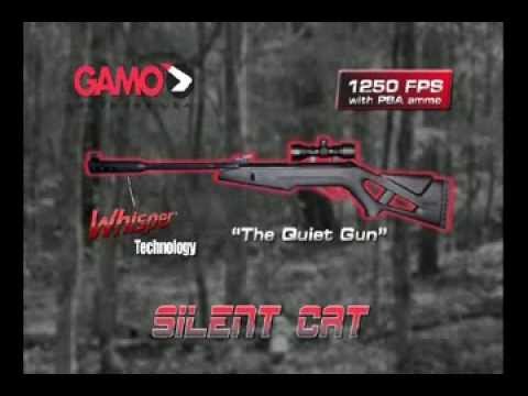 Jackie Bushman and Gamo's Silent Cat