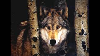 Brave New World -- Richard Harvey