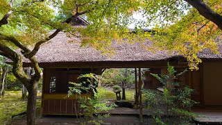 九年庵・仁比山神社 紅葉2023
