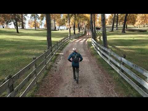 WanderFulManfred: Herbstwanderung am Salten (Jenesien, Südtirol)