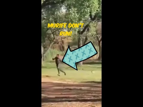 Murife Don't Run! | Original Video. #murife