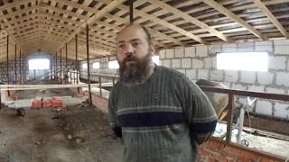 Ссылка