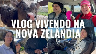 VLOG: UM DIA MORANDO NA NOVA ZELÂNDIA + TOUR DA CASA 🇳🇿