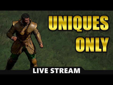 🔴 Uniques Only Paladin #1