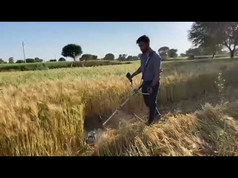 Wheat Crop Cutter/ Brush Cutter