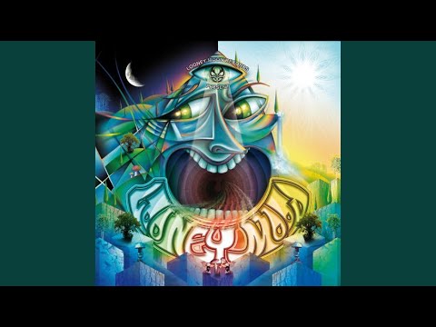 Perpendiculare Distortion