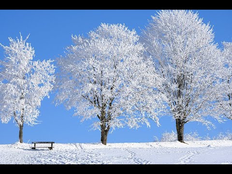 Peaceful Mountain With Snow  Ambient And The True Nature’s Relaxation.    (Calm Music, 1 Hour 1080p)