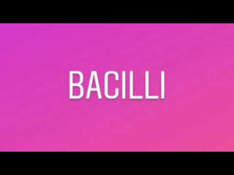 BACILLI