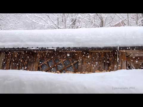 Time-Lapse. The big snowfall of January 31, 2014 (Mezzana-Val di Sole - Italy)