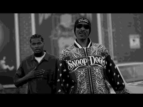 "Dogg Pound" | West Coast Rap Instrumental | Snoop Dogg x Doggystyleeee Type Beat