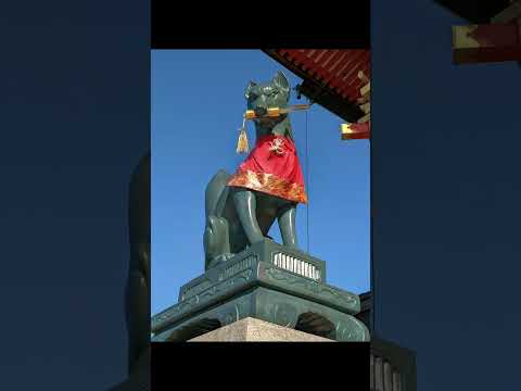 Japan Trip Over: Time to Make Games! 💻 #gamedev #japan  #gamedevlife #indiedev