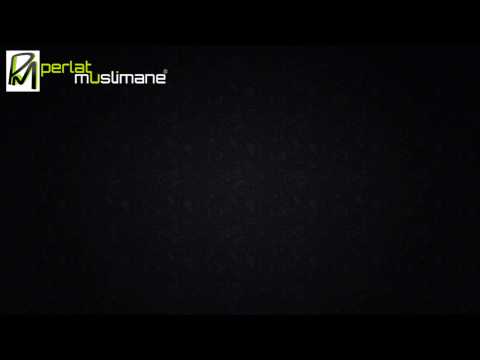 ISIS është edukuar nga shërbimet sekrete botërore - Al esh-Shejkh