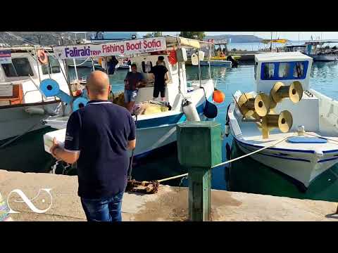 MareSea Fish Restaurante Bar #Faliraki #Rhodes_island #Grécia