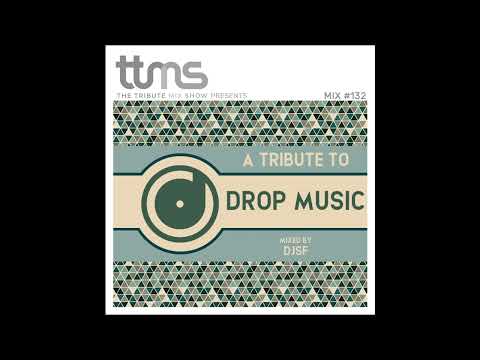 132 - A Tribute to Drop Music - mixed by DJSF