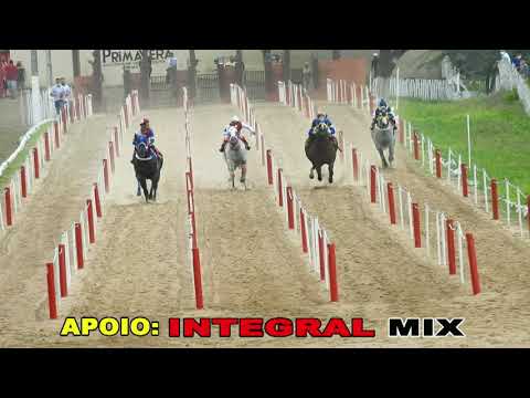 1 Páreo Class XIV GP Haras Primavera Canindé Ceará 17 e 18 de Abril de 2021