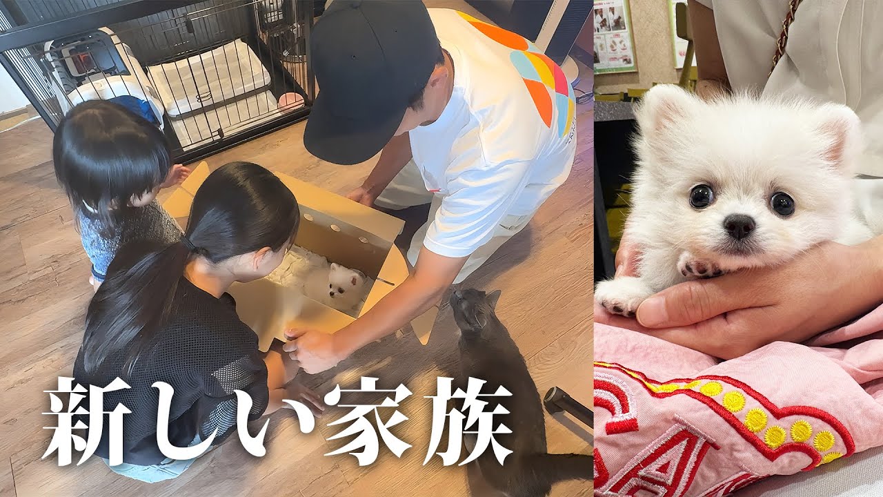 【重大報告】家族が増えました