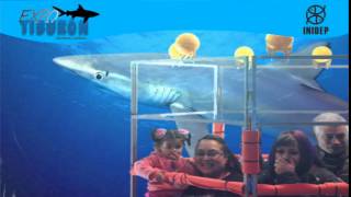 DIA 2 Expo Tiburon275