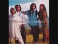 Ziggy Marley & The Melody Makers - Free Like We Want 2 b