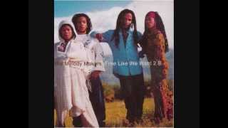 Ziggy Marley &amp; The Melody Makers - Free Like We Want 2 b