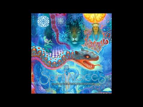 Synthetic Chaos - Nothing is Fucked / VA Spirit Voices (Sangoma) comp. by Gata Freak & Daksinamurti