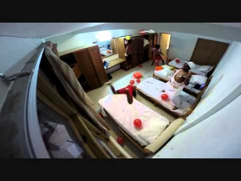 Harlem shake | Choriotix