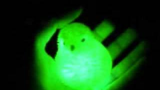 Can Y&#39;See it Now? (I Can See it Now!!)- Oasis