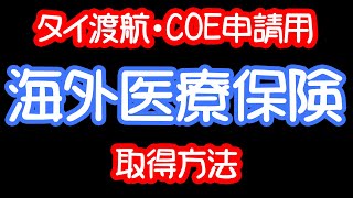 【COE申請】海外医療保険の取得方法・りえらじ