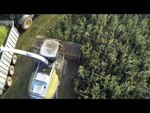 MPD SORGO CLAAS 970 1