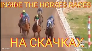 Download lagu HORSE RACE'S CYPRUS NICOSIA RACE CLUB #HORSERACING #НА СКАЧКАХ #КИПР КОННЫЙ СПОРТ mp3 Download lagu HORSE RACE'S CYPRUS NICOSIA RACE CLUB #HORSERACING #НА СКАЧКАХ #КИПР КОННЫЙ СПОРТ mp3