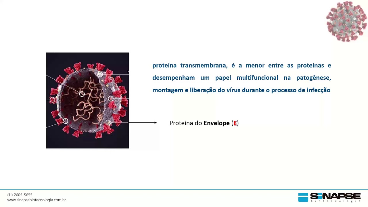 Webinário: Proteínas Recombinantes de SARS-CoV-2. Aplicações em pesquisa e diagnóstico