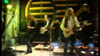 Black are the Flowers by The Monochrome Set