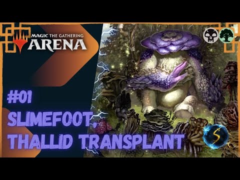 It's Showtime: Slimefoot, Thallid Transplant 💀🌲 #01 - MTG Arena - Historic Brawl